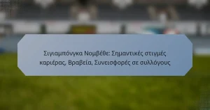 Σιγιαμπόνγκα Νομβέθε: Σημαντικές στιγμές καριέρας, Βραβεία, Συνεισφορές σε συλλόγους