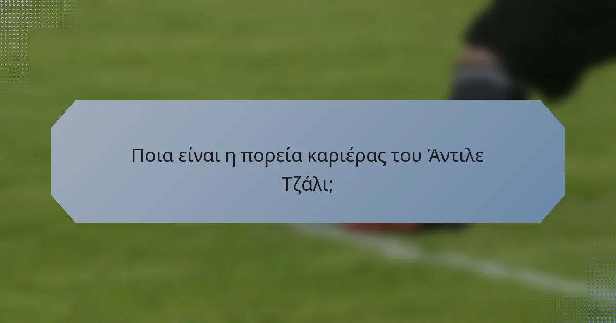 Ποια είναι η πορεία καριέρας του Άντιλε Τζάλι;