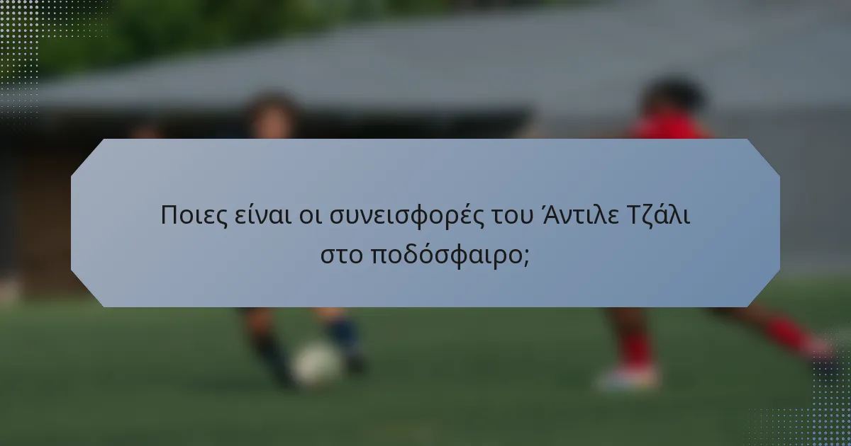 Ποιες είναι οι συνεισφορές του Άντιλε Τζάλι στο ποδόσφαιρο;